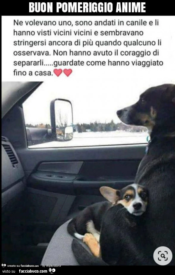 Buon pomeriggio anime