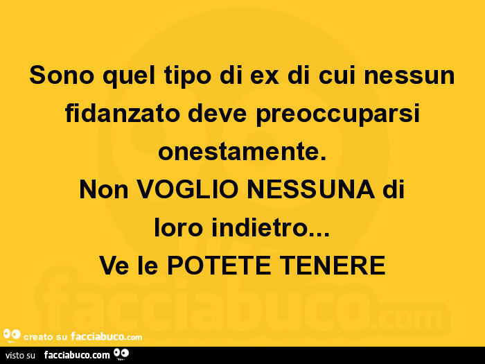 Sono quel tipo di ex di cui nessun fidanzato deve preoccuparsi onestamente. Non voglio nessuna di loro indietro… ve le potete tenere