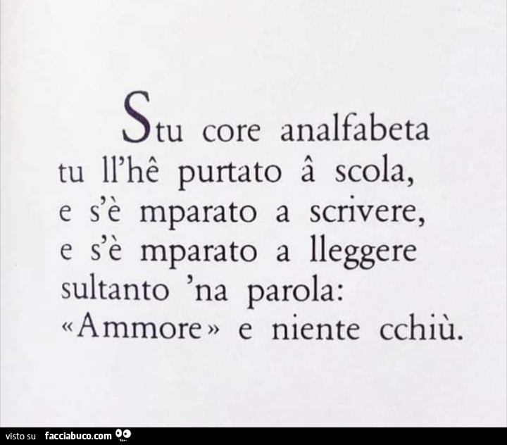Stu core analfabeta tu ll'hê purtato â scola