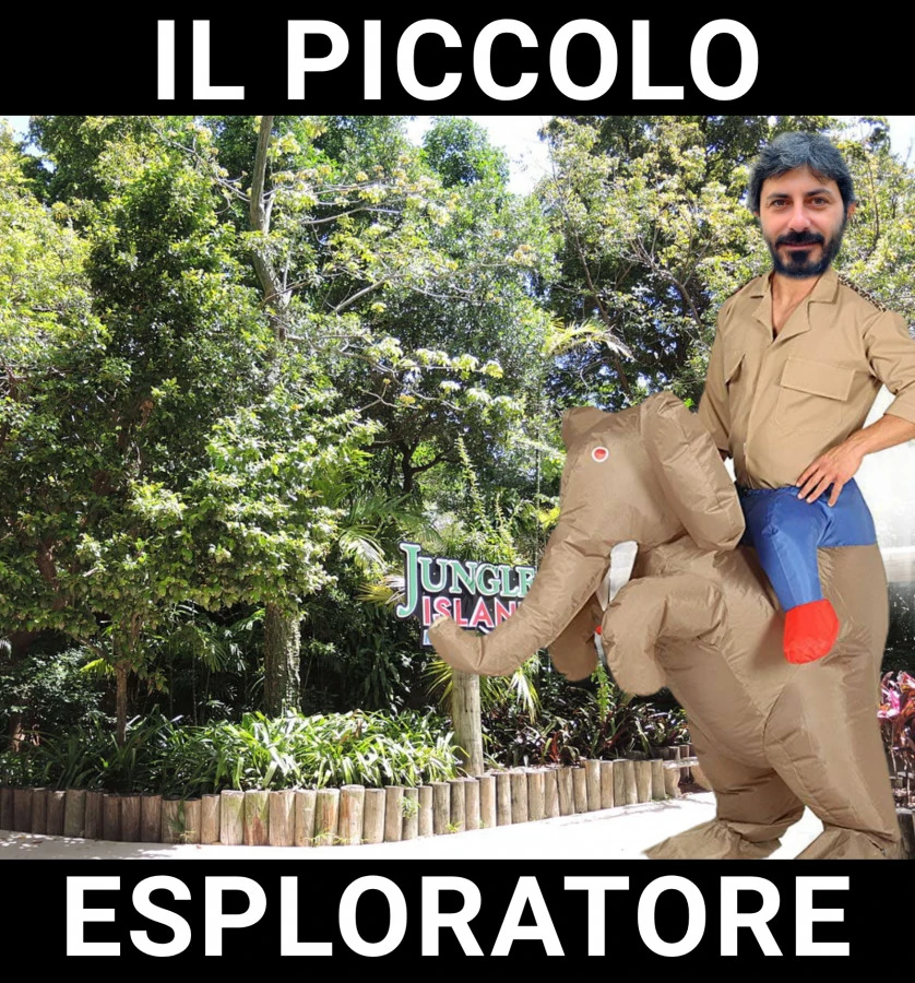 Si