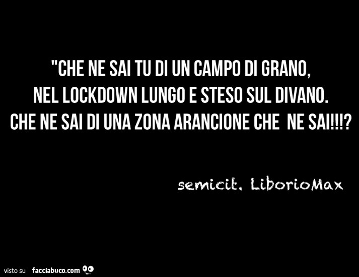 Che ne sai tu di un campo di grano, nel lockdown lungo e steso sul divano. Che ne sai di una zona arancione che ne sai!?