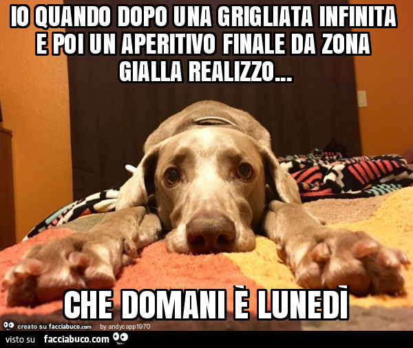Io quando dopo una grigliata infinita e poi un aperitivo finale da zona gialla realizzo… che domani è lunedì