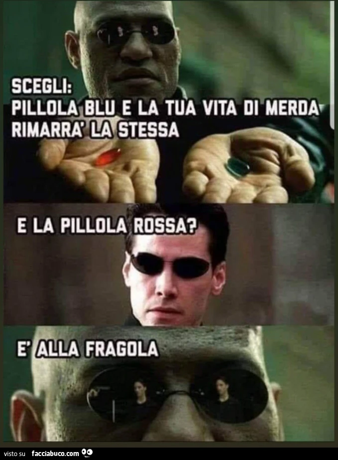 Vaccata