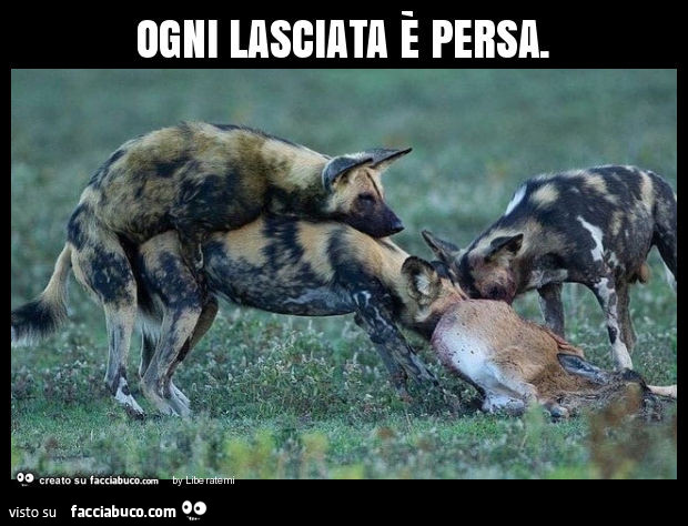 Ogni lasciata è persa
