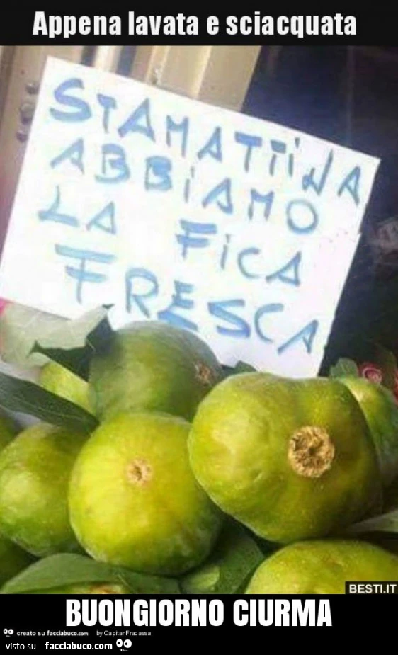 Buongiorno ciurma