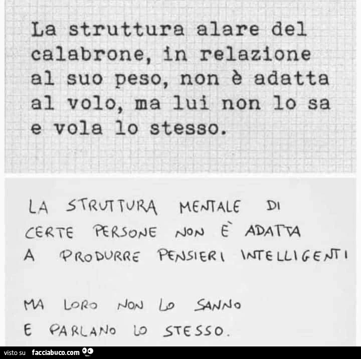 La struttura alare del calabrone. La struttura mentale di certe persone