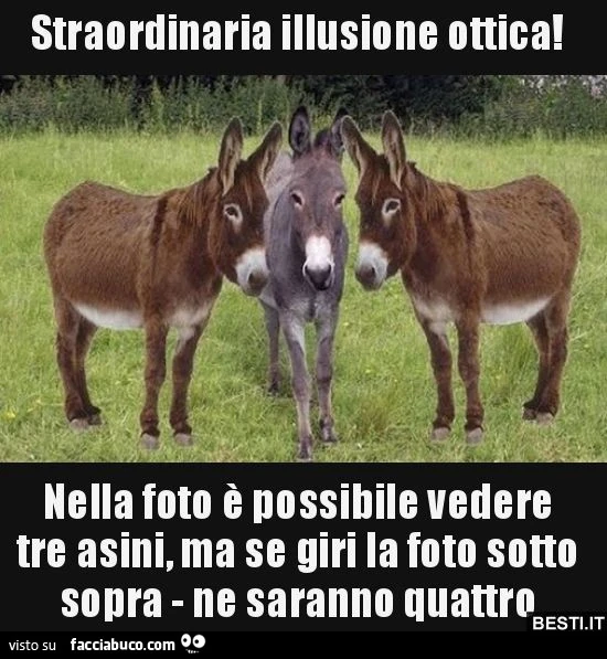 Straordinaria illusione ottica