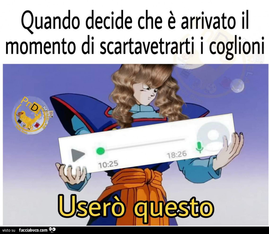 Tutti I Meme Sui Messaggi Vocali Facciabuco Com