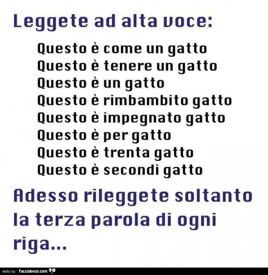 Leggete ad alta voce: questo è come un gatto questo è tenere un gatto questo è un gatto questo è rimbambito gatto questo è impegnato gatto questo è per gatto questo è trenta gatto questo è secondi gatto