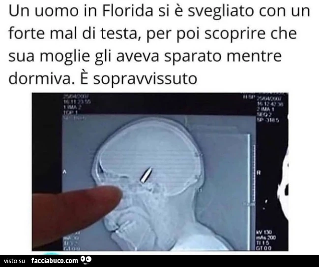 Vaccata