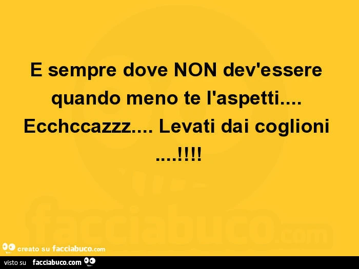 È sempre dove non dev'essere quando meno te l'aspetti&hellip; ecchccazzz&hellip; levati dai coglioni