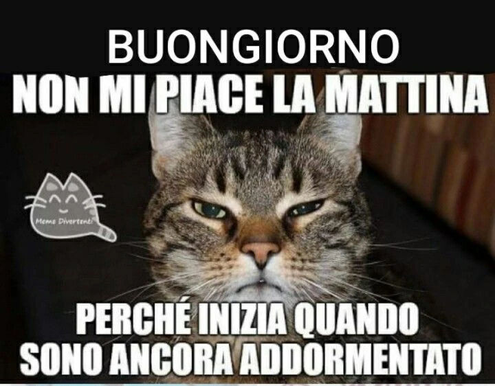 Il buongiorno si vede dal mattino