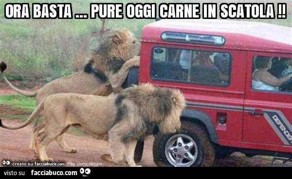 Ora basta&hellip; pure oggi carne in scatola