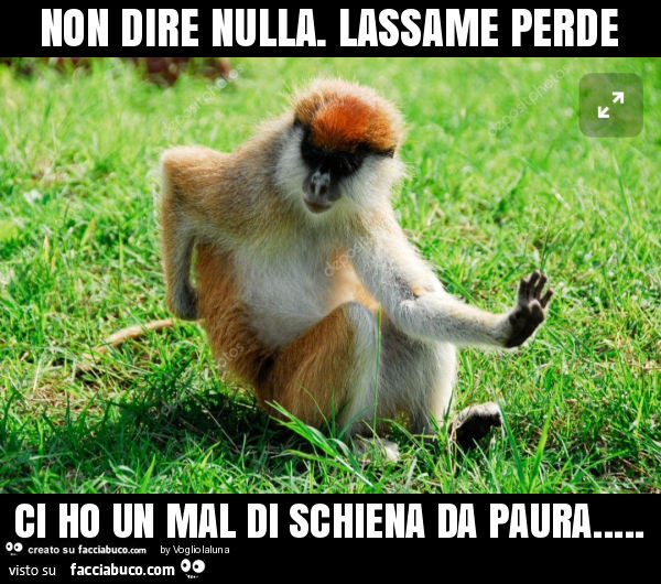 Non dire nulla. Lassame perde ci ho un mal di schiena da paura