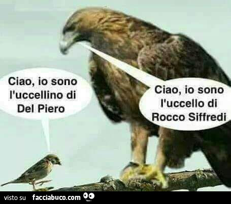 Ciao io sono l'uccellino di Del Piero