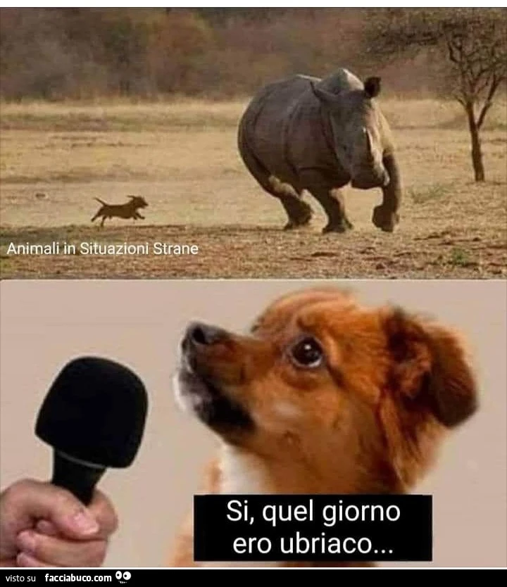 Si quel giorno ero ubriaco