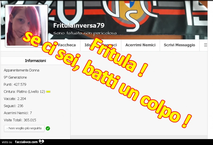 Fritulainversa