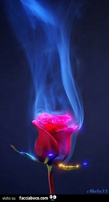 Aurea di Rosa