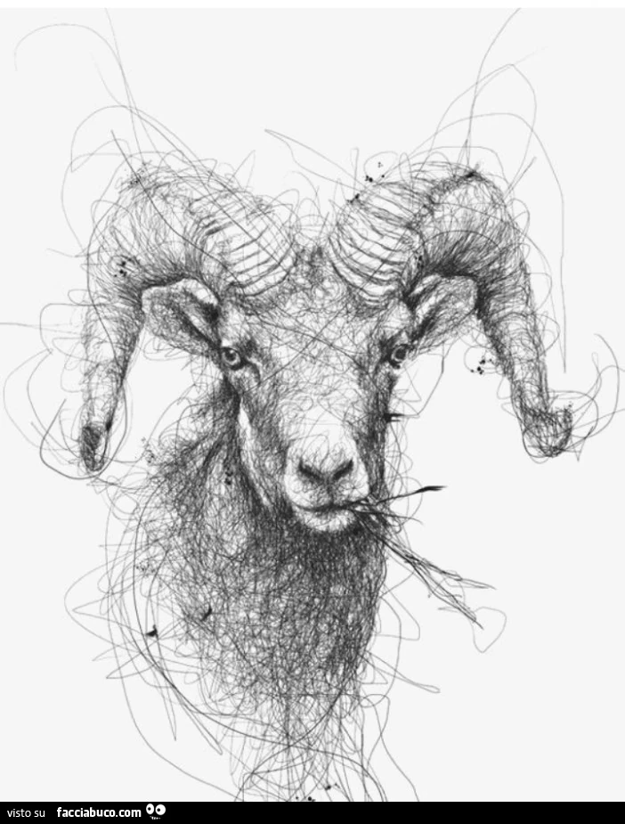 Ariete disegnato