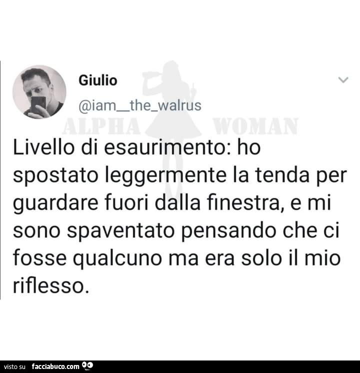 Livello di esaurimento: ho spostato leggermente la tenda per guardare fuori dalla finestra, e mi sono spaventato pensando che ci fosse qualcuno ma era solo il mio riflesso