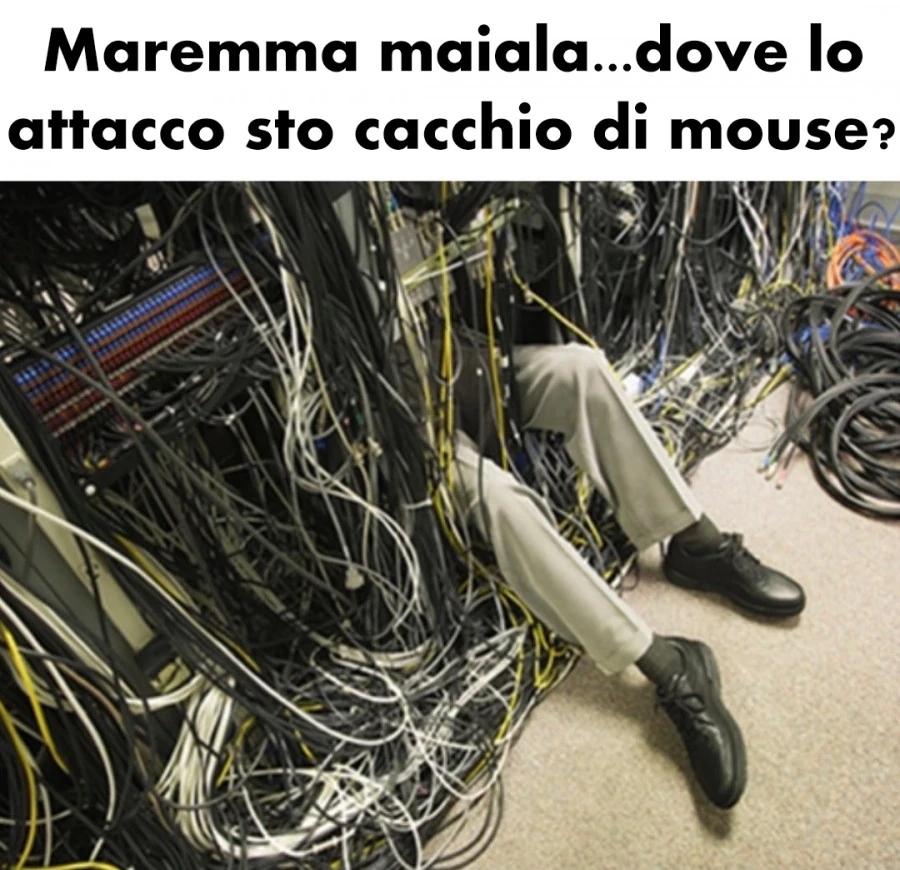 Vaccata
