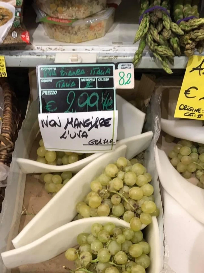 Vaccata
