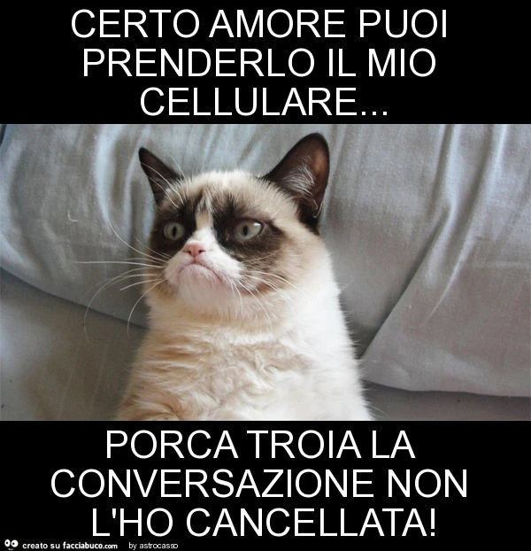 Certo amore puoi prenderlo il mio cellulare&hellip; porca troia la conversazione non l'ho cancellata