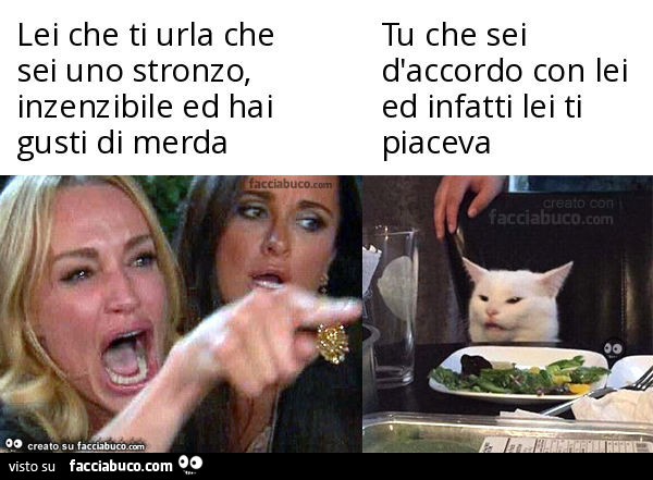 Lei che ti urla che sei uno stronzo, inzenzibile ed hai gusti di merda. Tu che sei d'accordo con lei ed infatti lei ti piaceva