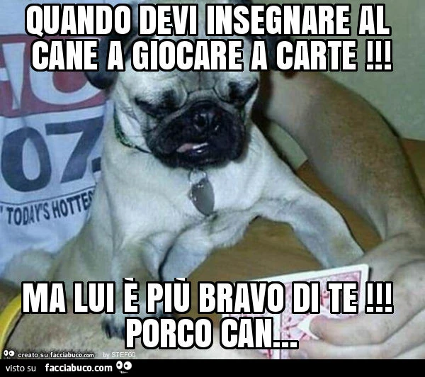 Quando devi insegnare al cane a giocare a carte! Ma lui è più bravo di te! Porco can
