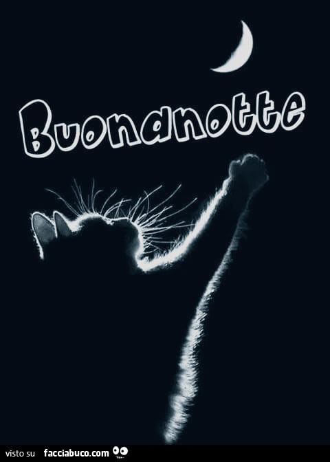 Gattino alla luna. Buonanotte