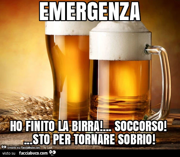 Emergenza ho finito la birra! &hellip; soccorso! &hellip; sto per tornare sobrio