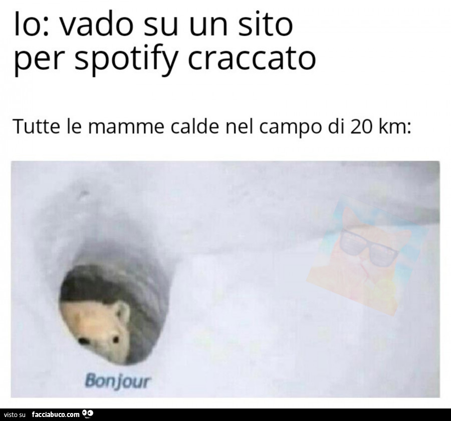 Io: vado su un sito per spotify craccato. Tutte le mamme calde nel campo di 20 km: bonjour