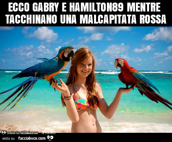 Ecco gabry e hamilton89 mentre tacchinano una malcapitata rossa