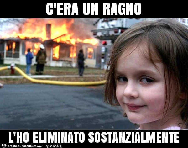 C'era un ragno l'ho eliminato sostanzialmente