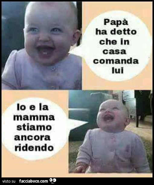 Vaccata Pubblicata Da Febo59 Facciabuco Com