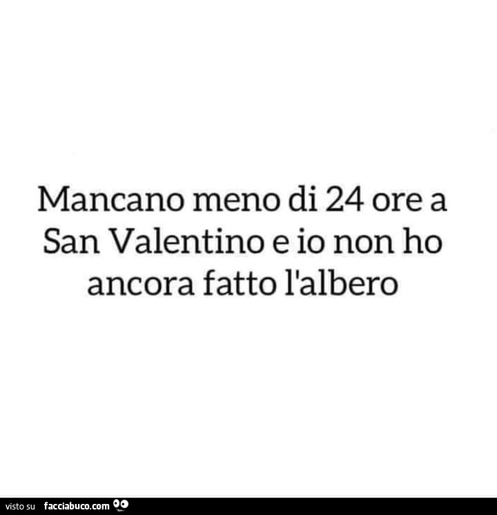 Mancano meno di 24 ore a san valentino e io non ho ancora fatto l'albero