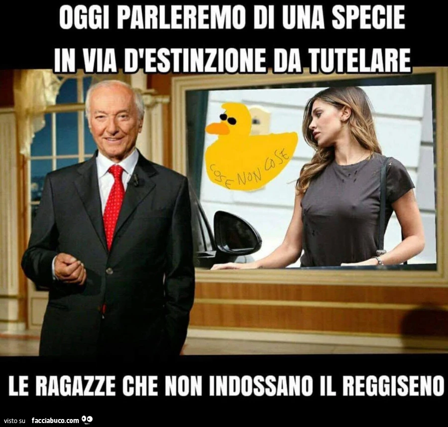 Piero angela