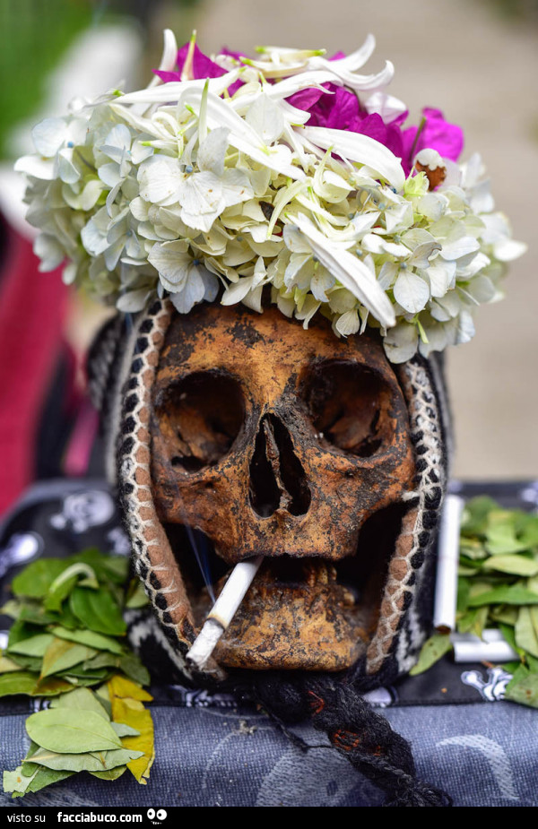 Raphael. Boliviàs Skull Festival