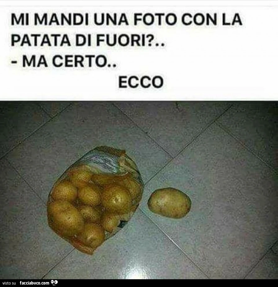 Vaccata