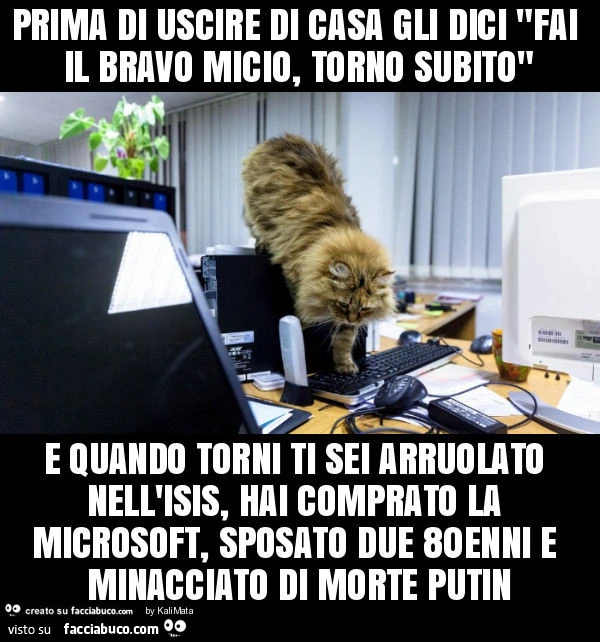 Prima di uscire di casa gli dici "fai il bravo micio, torno subito" e quando torni ti sei arruolato nell'isis, hai comprato la microsoft, sposato due 80enni e minacciato di morte putin