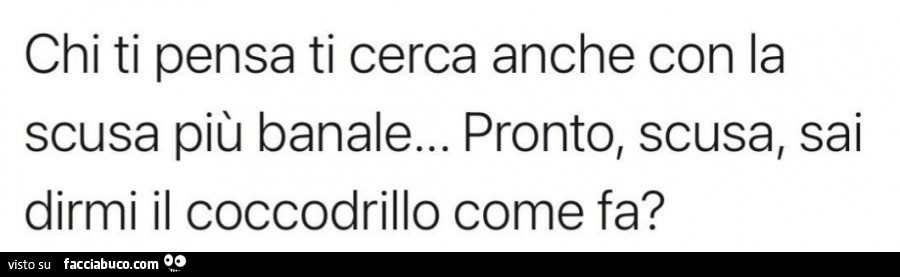 Chi ti pensa ti cerca anche con la scusa più banale… pronto, scusa, sai dirmi il coccodrillo come fa?