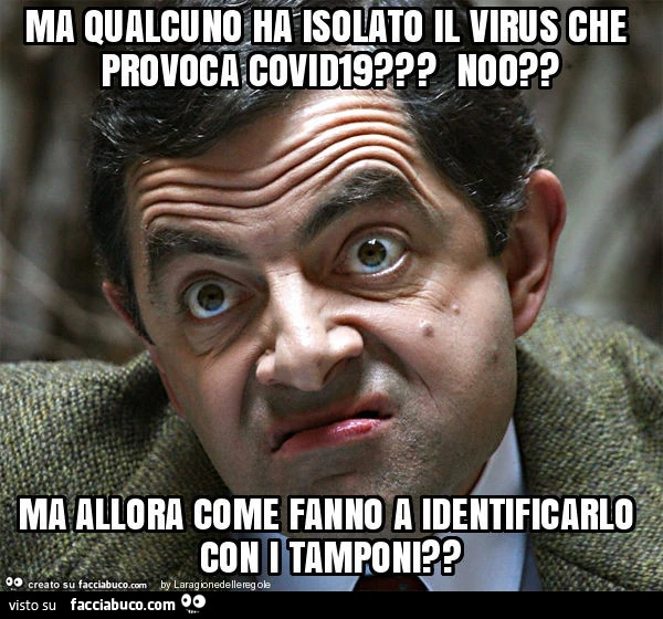 Ma qualcuno ha isolato il virus che provoca covid19? Noo? Ma allora come fanno a identificarlo con i tamponi?