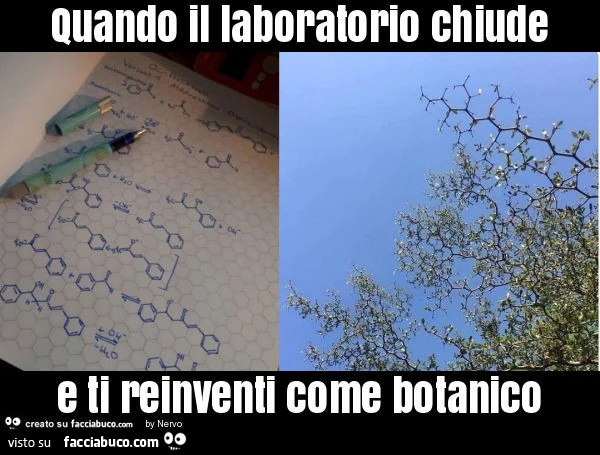 Quando il laboratorio chiude e ti reinventi come botanico