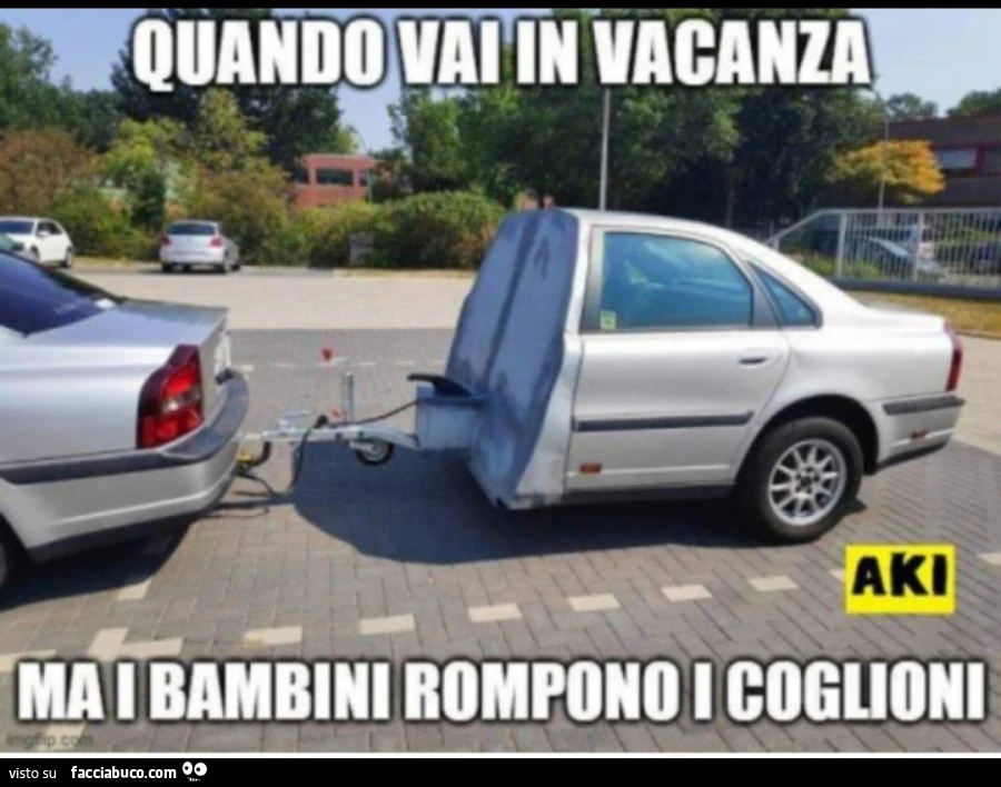 Vaccata