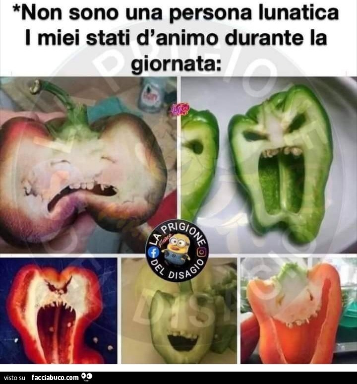 Non sono una persona lunatica i miei stati d'animo durante la giornata
