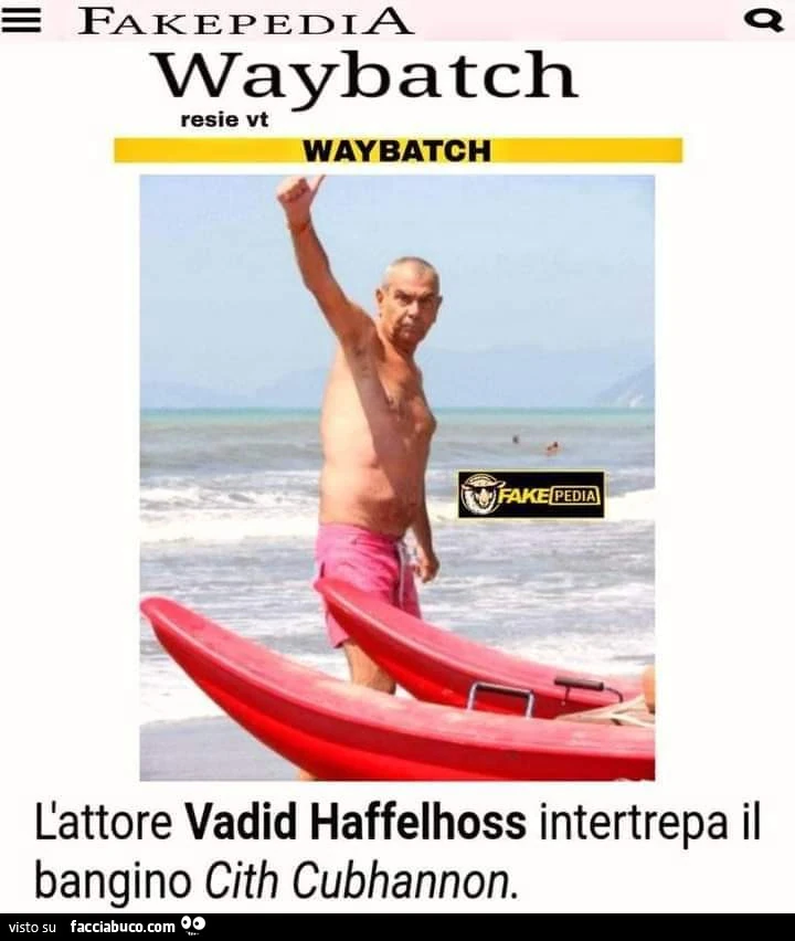 Vaccata