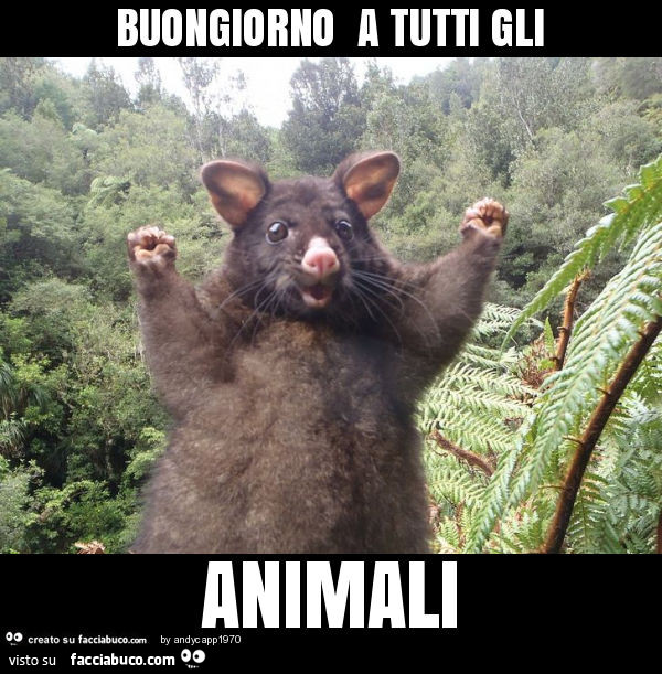 Buongiorno a tutti gli animali