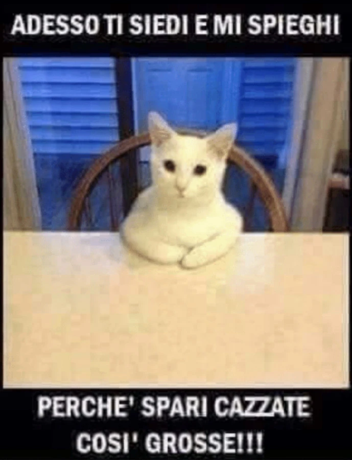 Vaccata