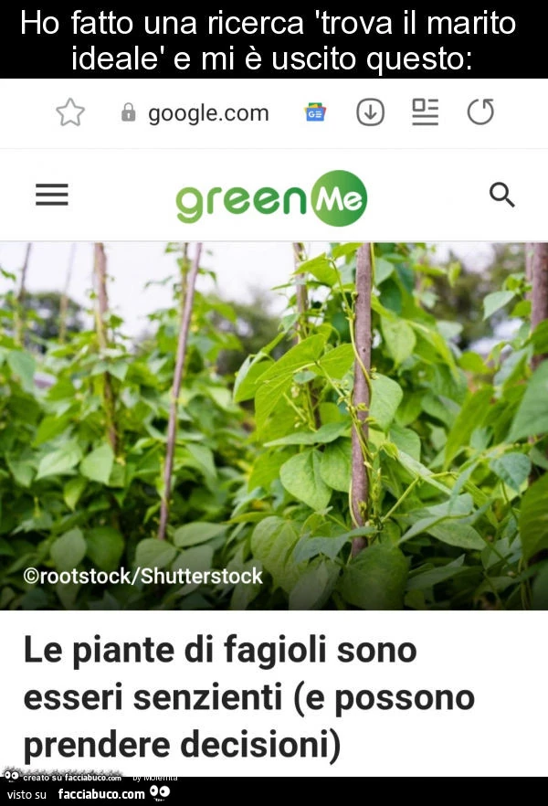 Ho fatto una ricerca 'trova il marito idealè e mi è uscito questo