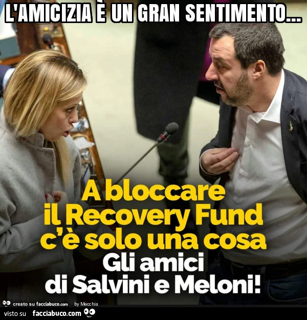 L'amicizia è un gran sentimento